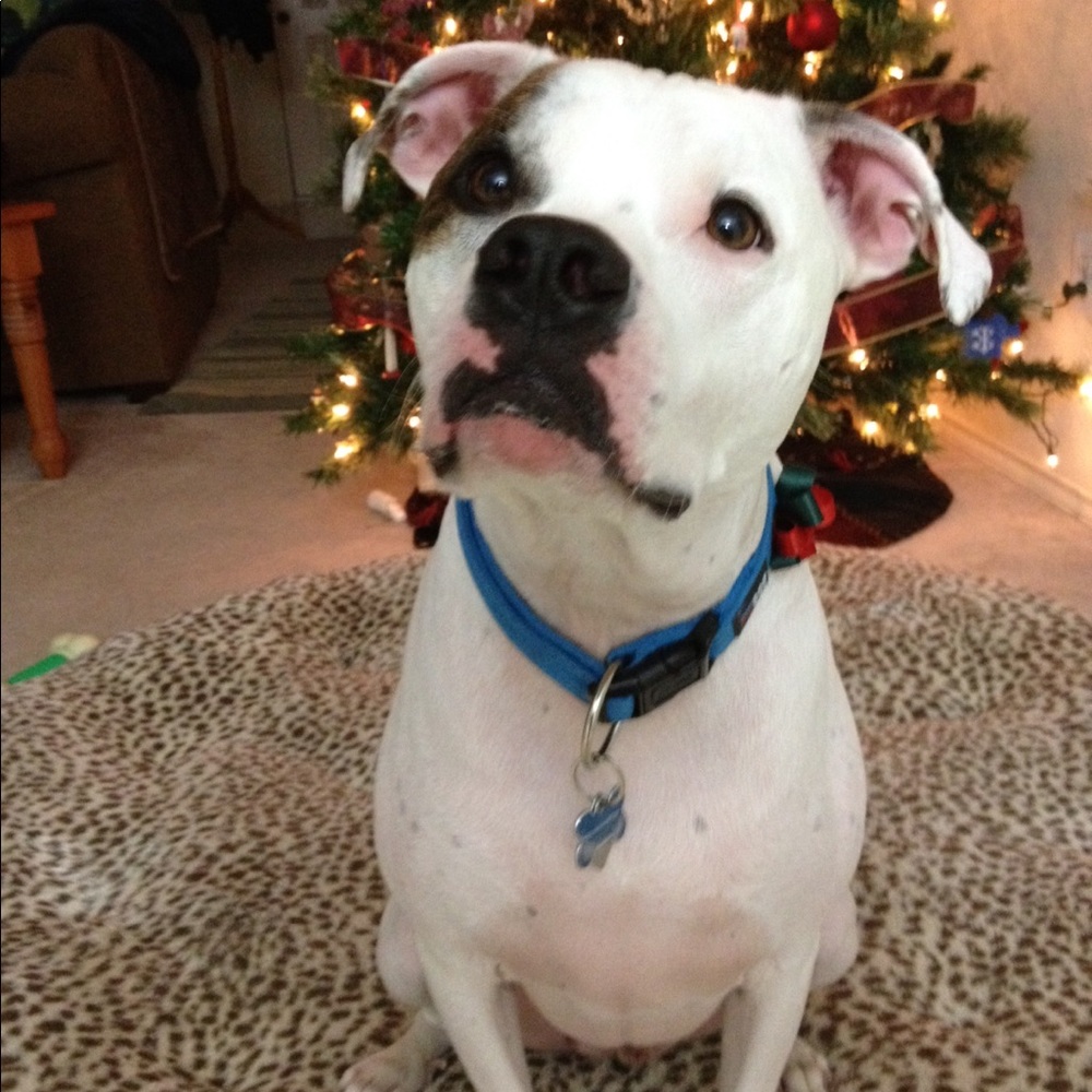 Meet your Posher, Marci